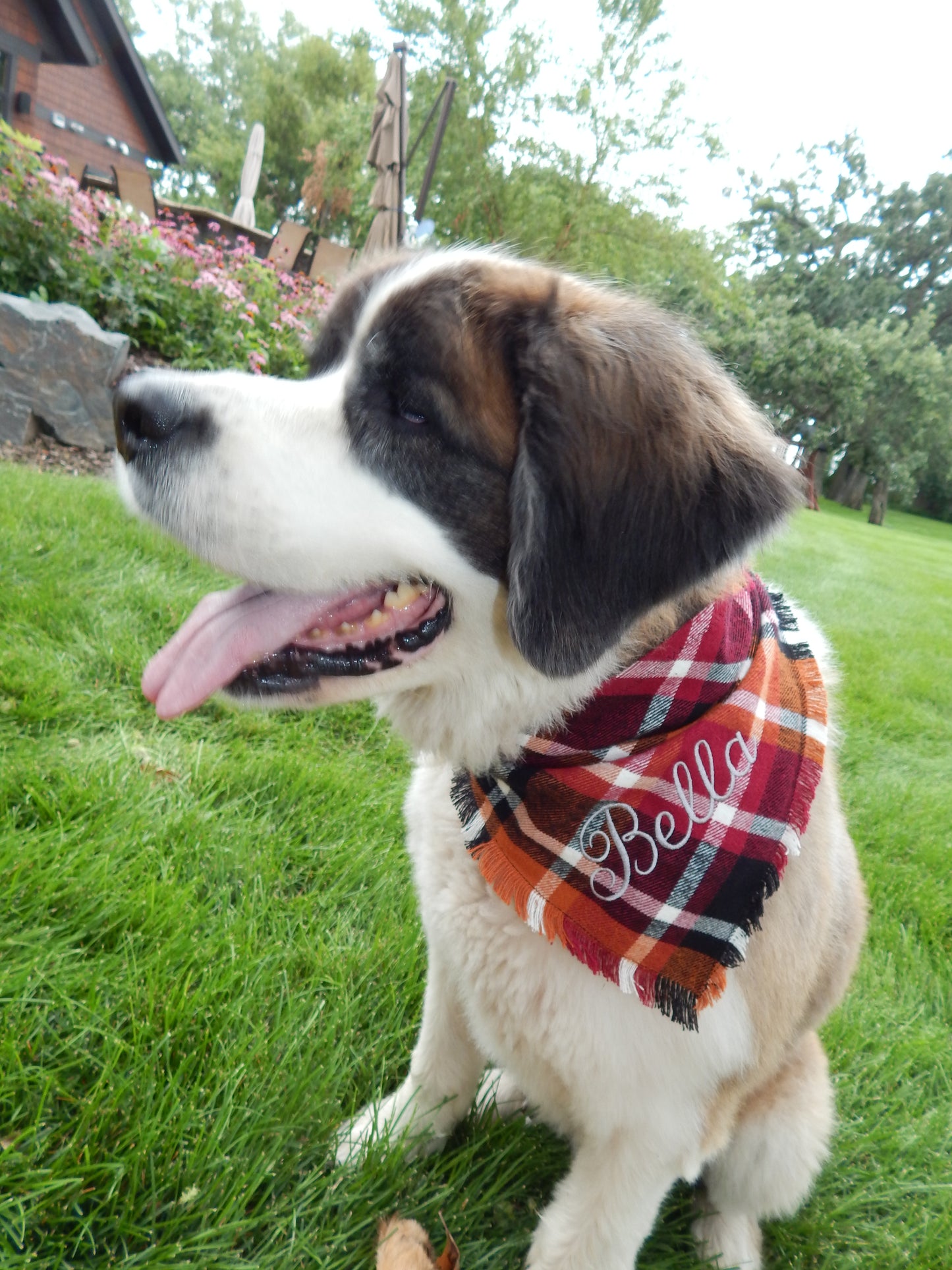 Flannel Dog Scarf | Custom Embroidered Dog Bandana | Dog Gift | Dog and Person Matching Scarf | Fall Flannel | Flannel Scarf | Dog Mom |