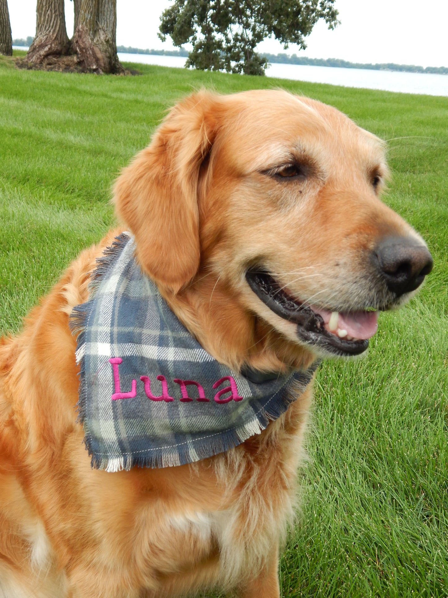 Flannel Dog Scarf | Custom Embroidered Dog Bandana | Dog Gift | Dog and Person Matching Scarf | Fall Flannel | Flannel Scarf | Dog Mom |