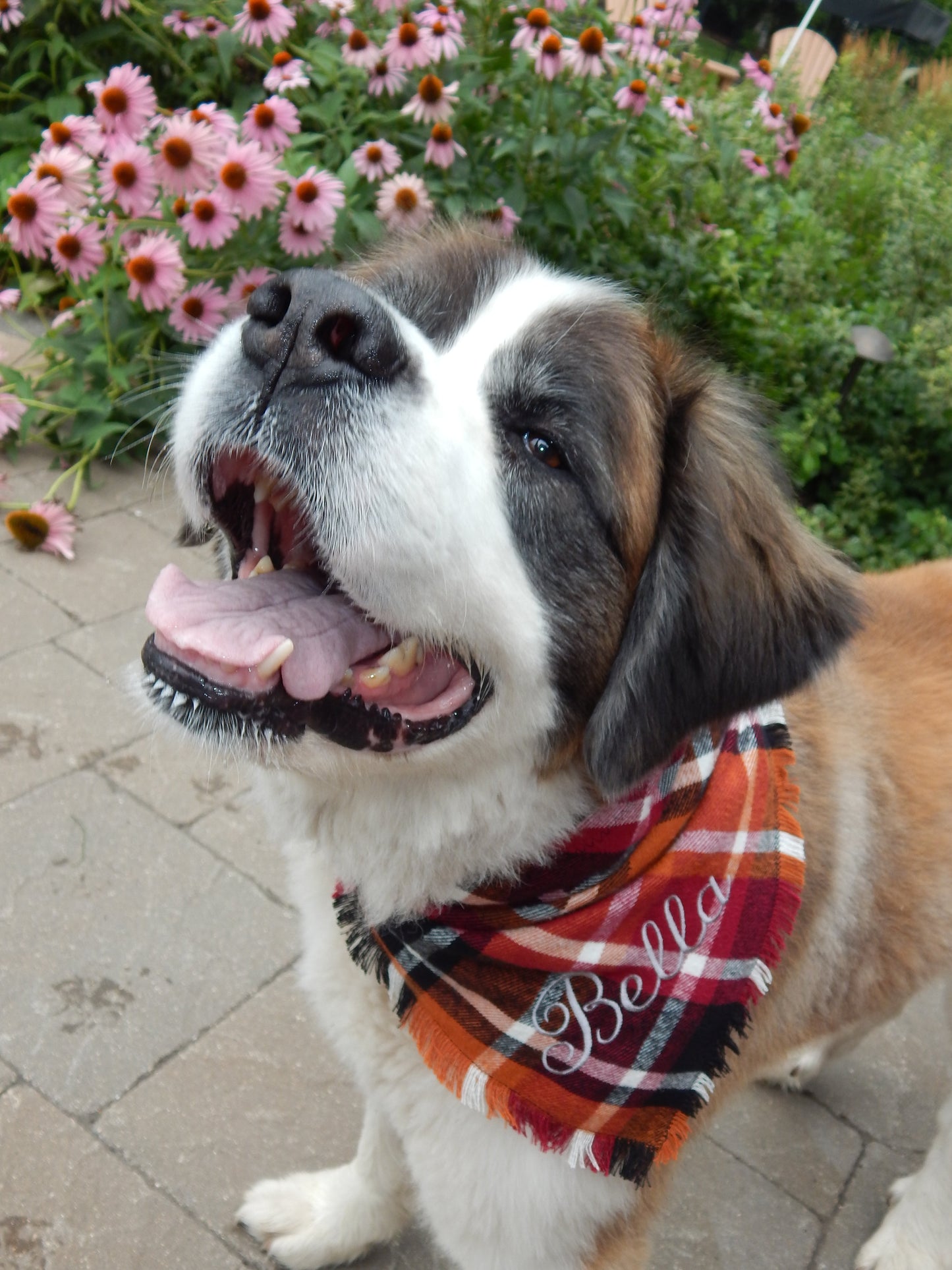 Flannel Scarf | Custom Embroidered Bandana | Dog and Person Matching Scarf | Dog Mom | Gift | Fall Flannel | Flannel Scarf | Dog Matching