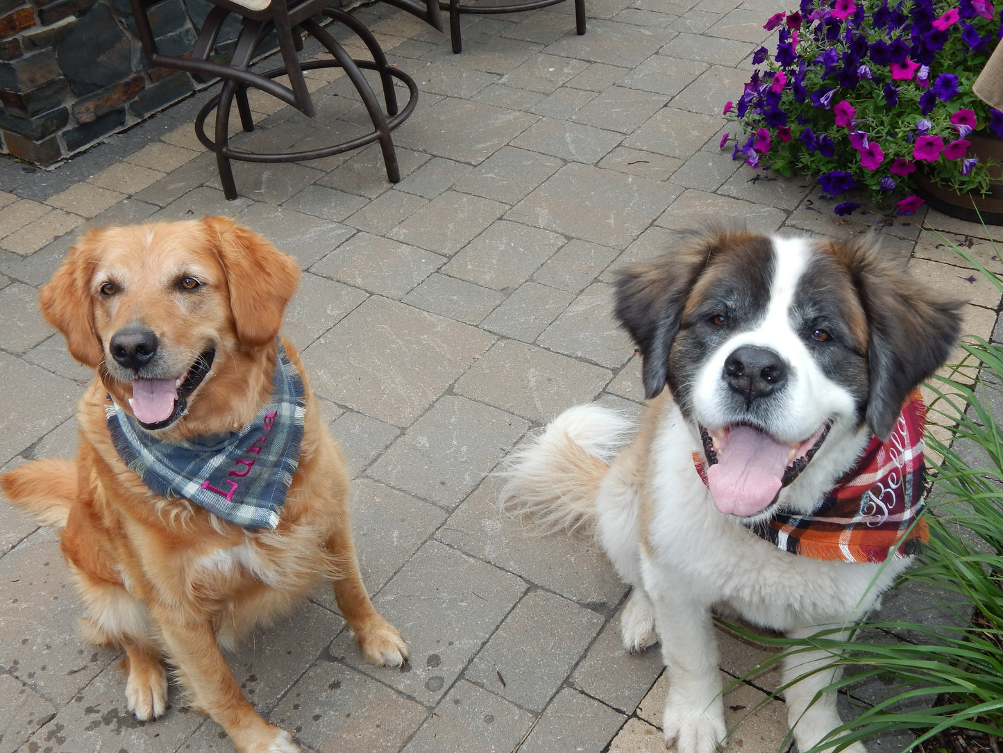 Flannel Dog Scarf | Custom Embroidered Dog Bandana | Dog Gift | Dog and Person Matching Scarf | Fall Flannel | Flannel Scarf | Dog Mom |