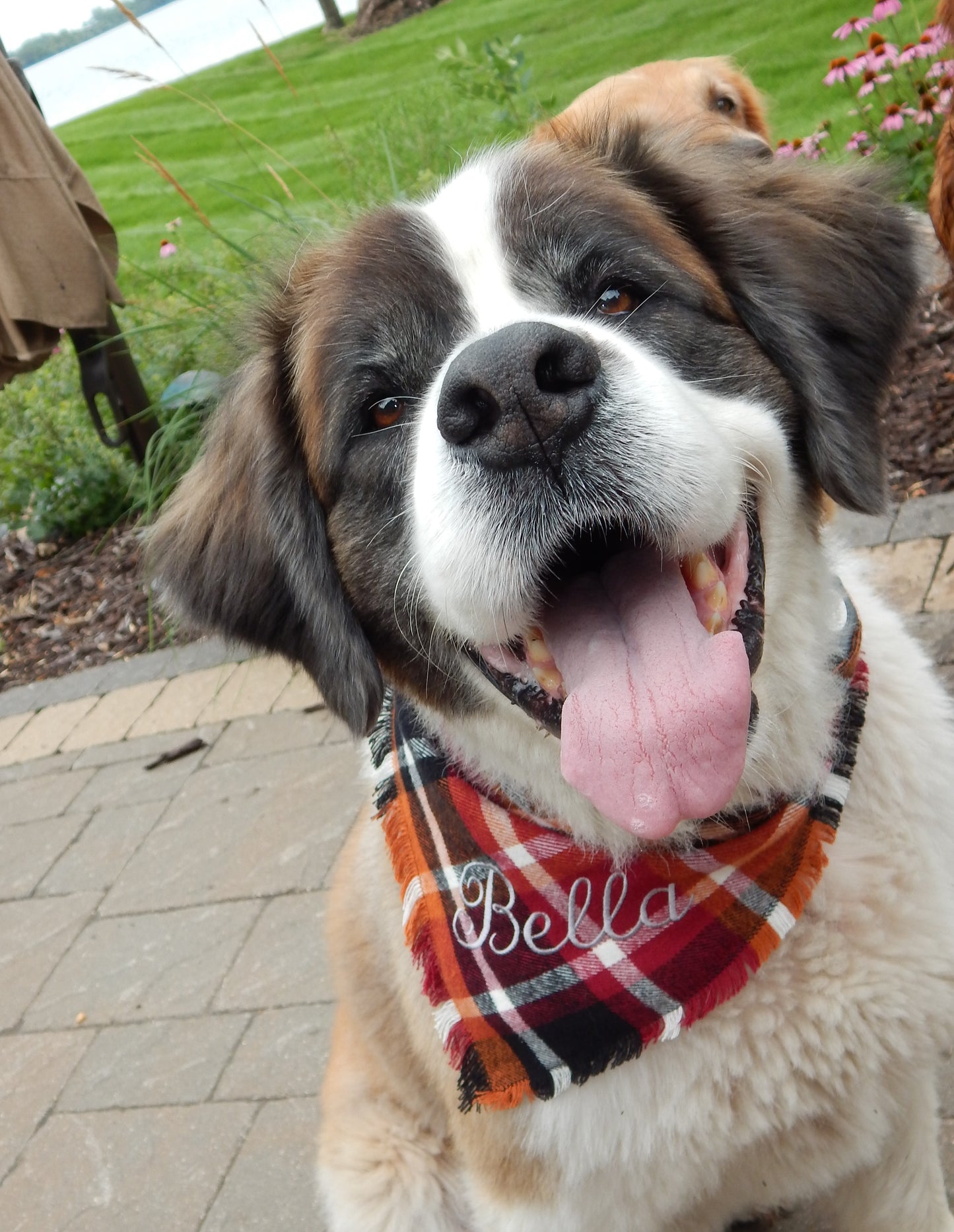 Flannel Dog Scarf | Custom Embroidered Dog Bandana | Dog Gift | Dog and Person Matching Scarf | Fall Flannel | Flannel Scarf | Dog Mom |