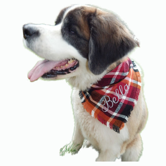 Flannel Dog Scarf | Custom Embroidered Dog Bandana | Dog Gift | Dog and Person Matching Scarf | Fall Flannel | Flannel Scarf | Dog Mom |